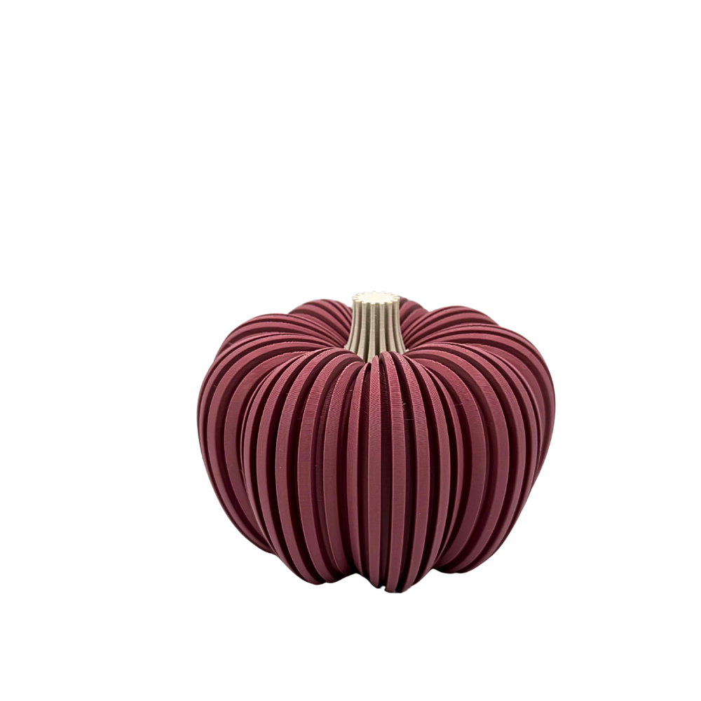 Pompoen groot | Hans