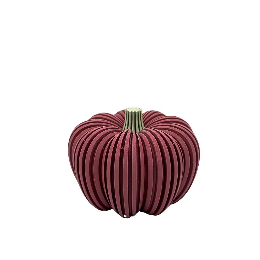 Pompoen groot | Hans