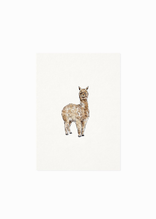Kaart | Alpaca