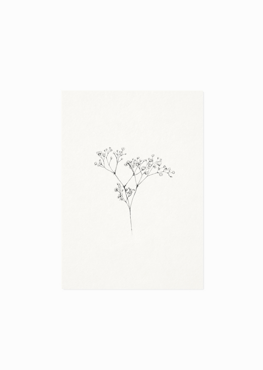 Kaart | Gipskruid