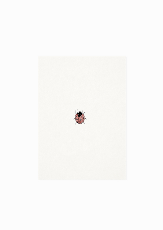 Kaart | Lieveheersbeestje