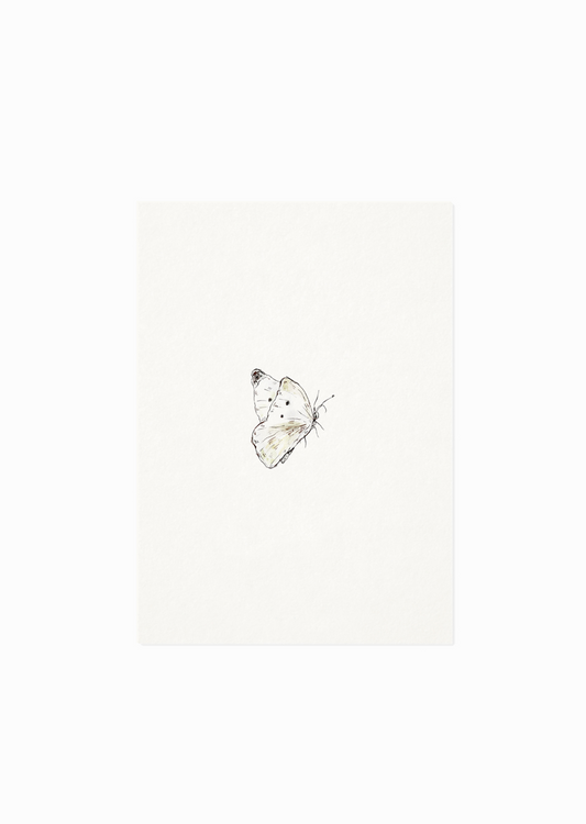 Kaart | Vlinder